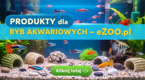 Jak zrobić kryjówki dla rybek, by zapewnić im bezpieczeństwo w akwarium
