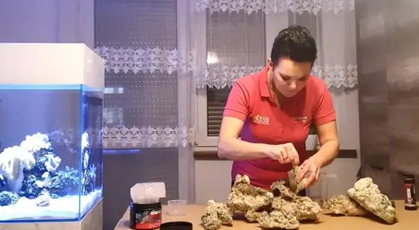 Czym kleić kamienie w akwarium? Najlepsze kleje i porady na start